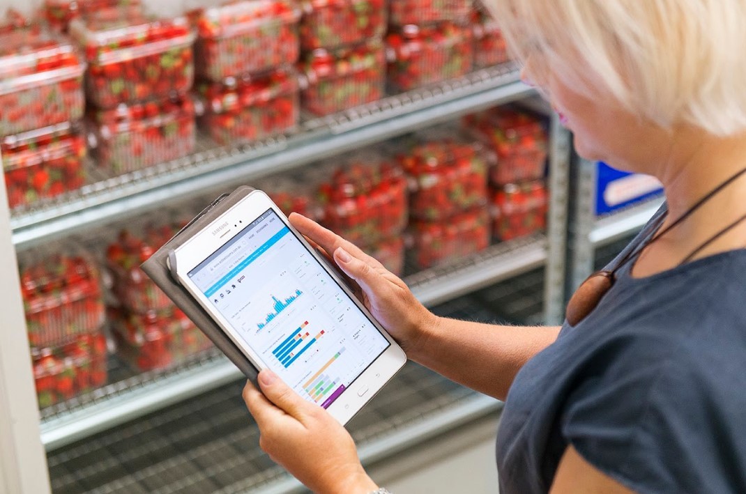 Woman viewing inventory on tablet in warehouse