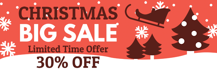 Christmas Sales Banner